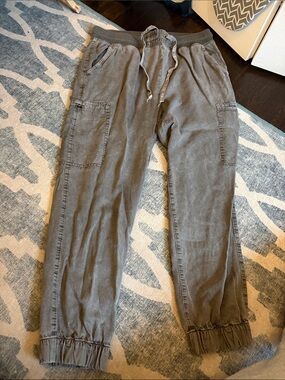 Aerie Greg Cargo Jogger